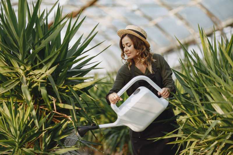 The Art of&nbsp;Connection